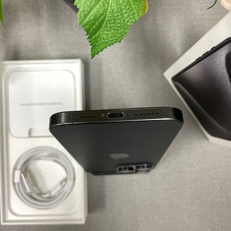 iPhone 15ProMax 256GB �֥�å� ������ SIM�ե꡼ ����̵��