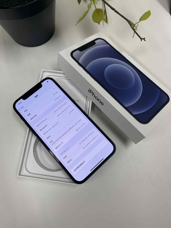 iPhone 12 64GB ֥å ŷХ  SIMե꡼̵