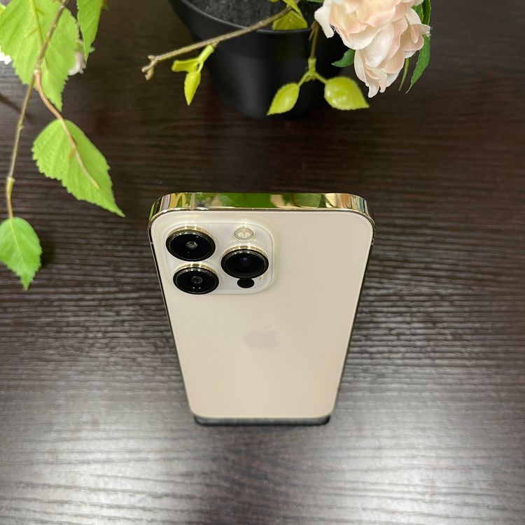 iPhone 13Pro 256Gb  SIMե꡼ ̵