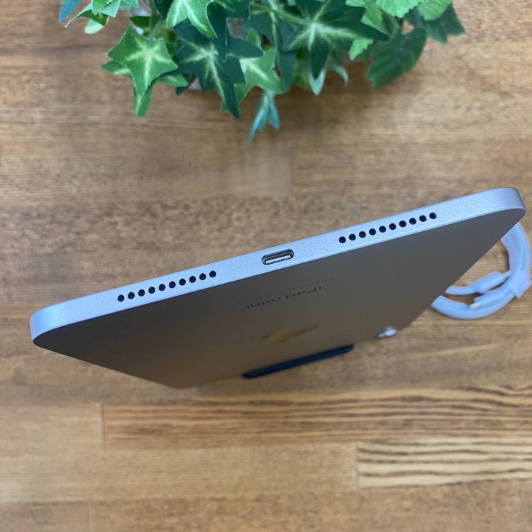 iPad Mini A17Pro 256GB �������饤�� WiFi ��ǥ� ����̵��