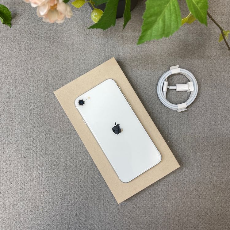 iPhone SE2 64Gb �ۥ磻�� ������ SIM�ե꡼ ����̵�� 26719