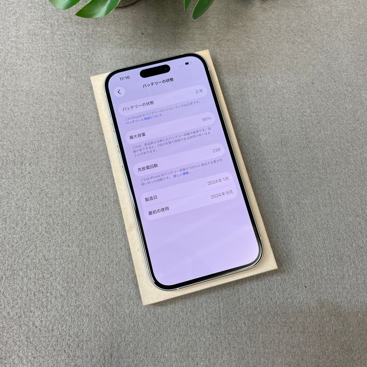 �Хåƥ꡼ 95% iPhone15 128GB �֥롼 ������ SIM�ե꡼ ����̵��