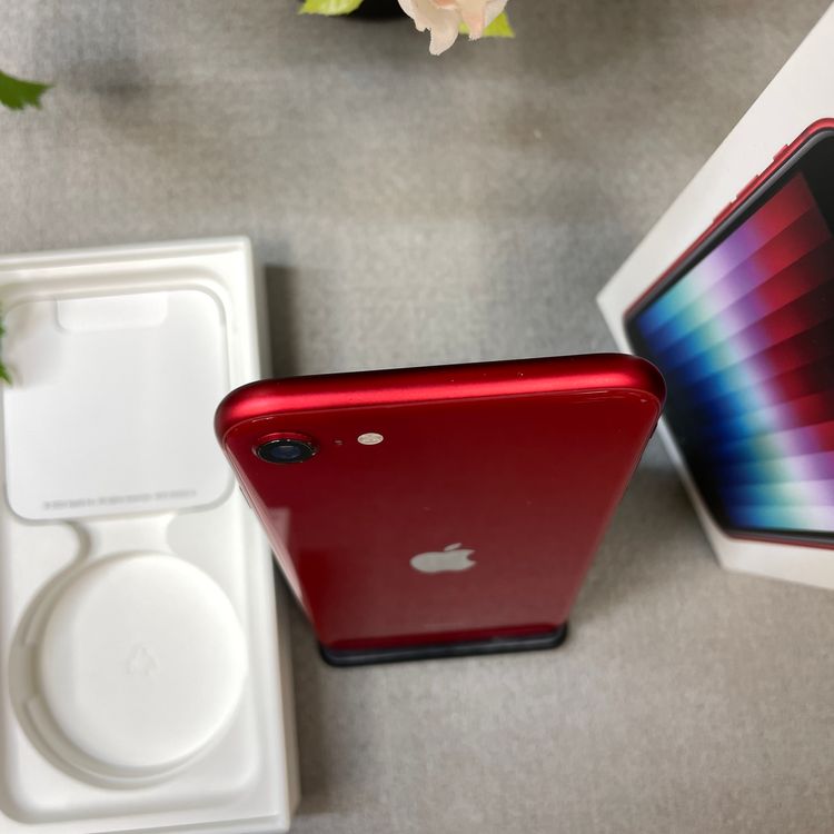 iPhone SE(�裳����) 64GB ��å� ����SIM�ե꡼ ����̵��