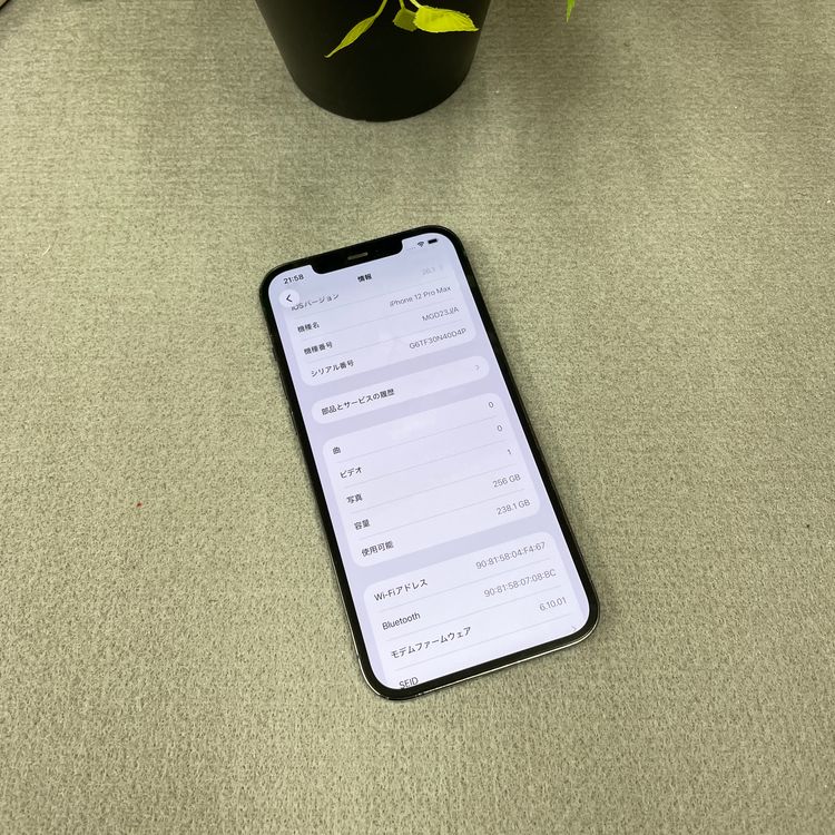 iPhone12 Pro Max 256Gb �֥롼 ����SIM�ե꡼ ����̵��