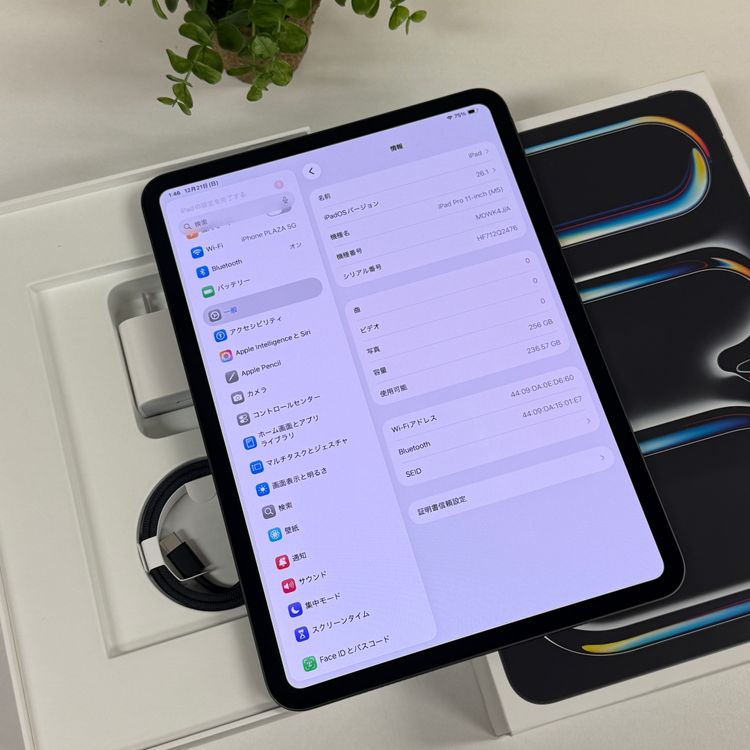 ����Ʊ�� iPad Pro M5 11����� 256GB 2025ǯ Wi-Fi��ǥ� ����̵��