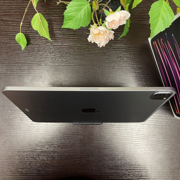 iPad Pro 114128GB ڡ쥤 ̵