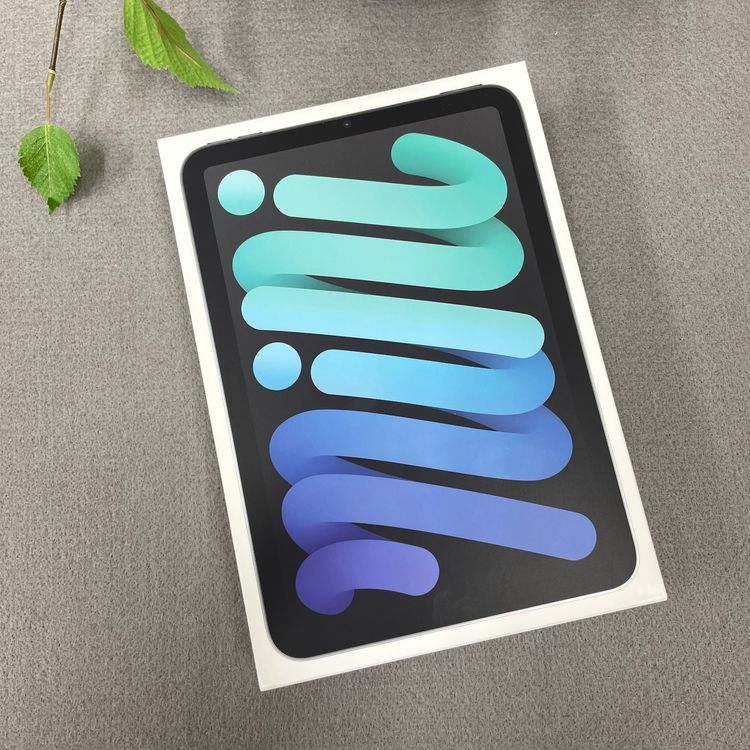 ����̤���� iPad mini A17Pro 128GB ���ڡ������졼 WiFi ��ǥ� ����̵��