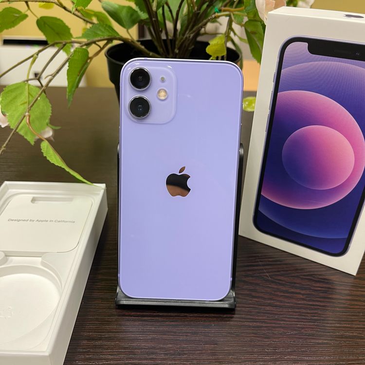 iPhone 12Mini 256GB ѡץ SIMե꡼ ̵