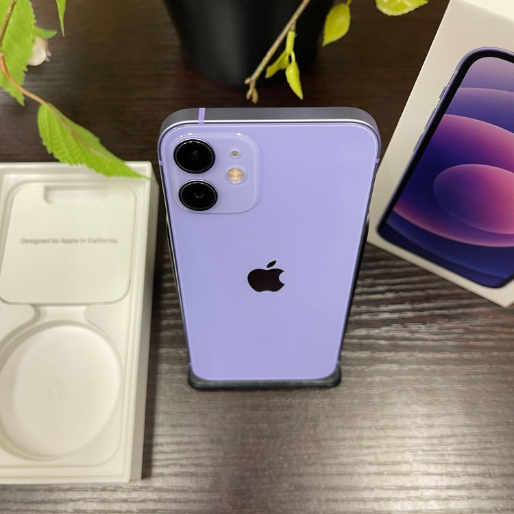 iPhone 12Mini 256GB ѡץ SIMե꡼ ̵