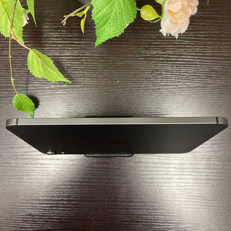 iPad mini 6 ڡ쥤 256GB Wi-Fi + Cellularǥ