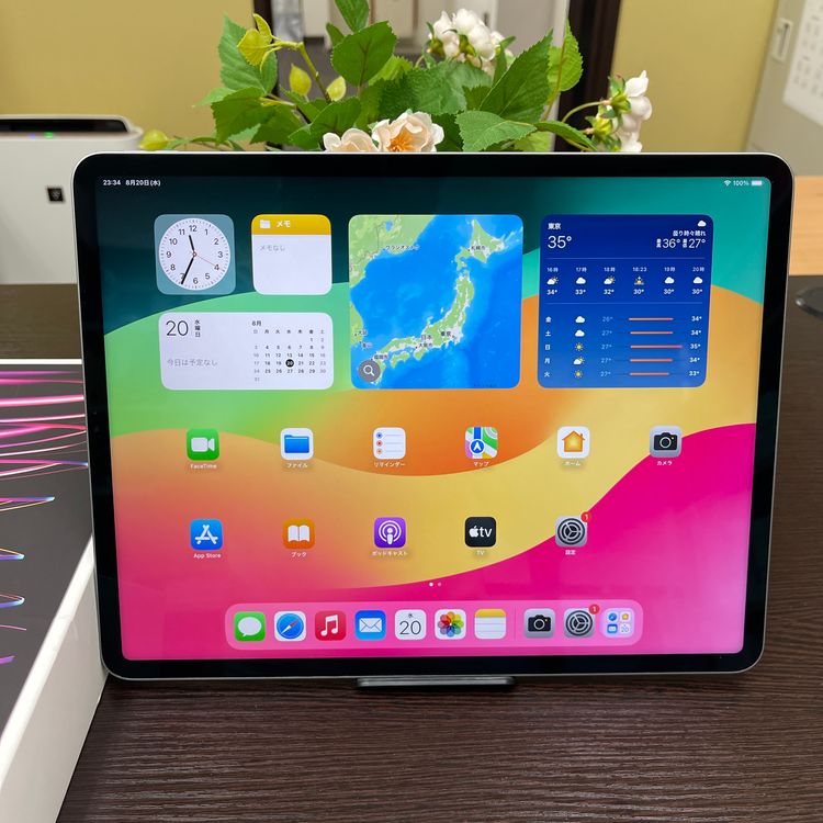iPad Pro 12.96M2 å 256GB Wi-Fiǥ
