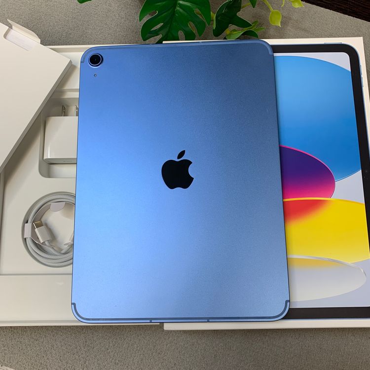 �Хåƥ꡼100% iPad A16 128GB �֥롼 WiFi + Cellular ����̵��