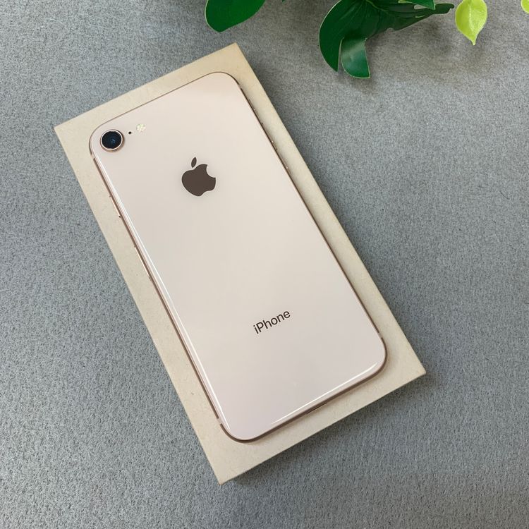 iPhone 8 64GB �������  ������ SIM�ե꡼����̵��