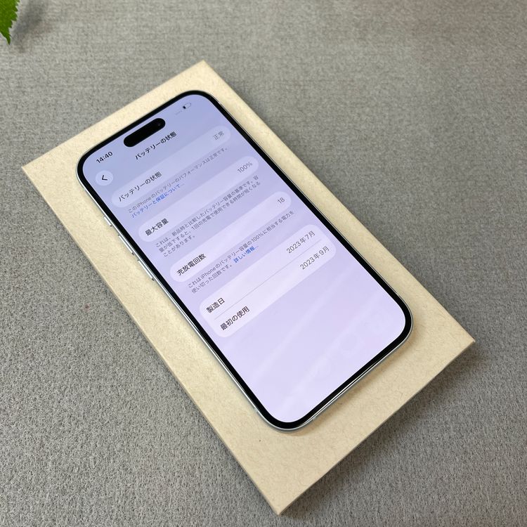 �Хåƥ꡼ 100% iPhone 15 128GB �֥롼������ SIM�ե꡼����̵��