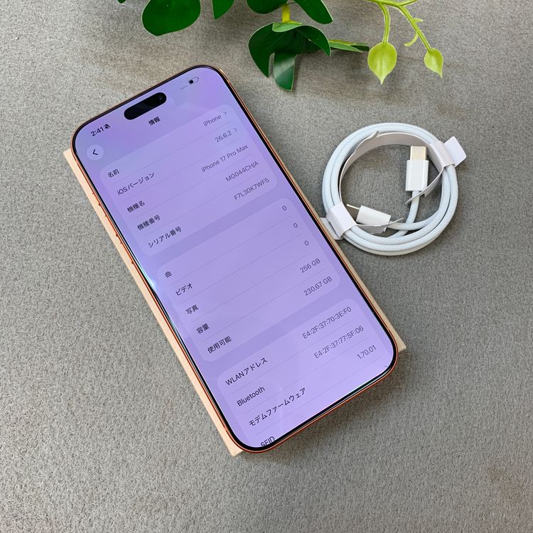 �ǥ奢��SIM�� �Хåƥ꡼100%��iPhone 17ProMax 256GB �����SIM�ե꡼