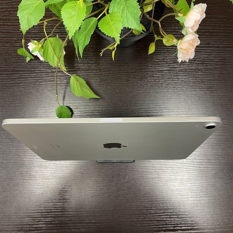 iPad Air(4) 256GB СWi-Fiǥ