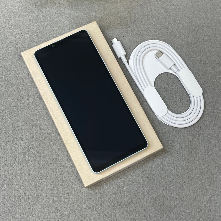 Xperia 10VI 128GB �֥롼 SO-52E �ɥ����� SIM�ե꡼ ����̵��