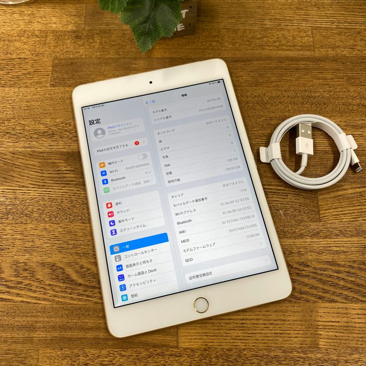 iPad mini 4 128GB Wi-Fi + Cellular��ǥ� ����̵��