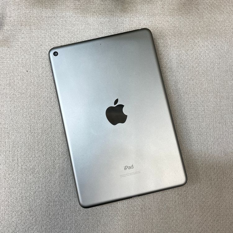 iPad mini 5 ���ڡ������쥤 64Gb Wi-Fi��ǥ� ����̵��