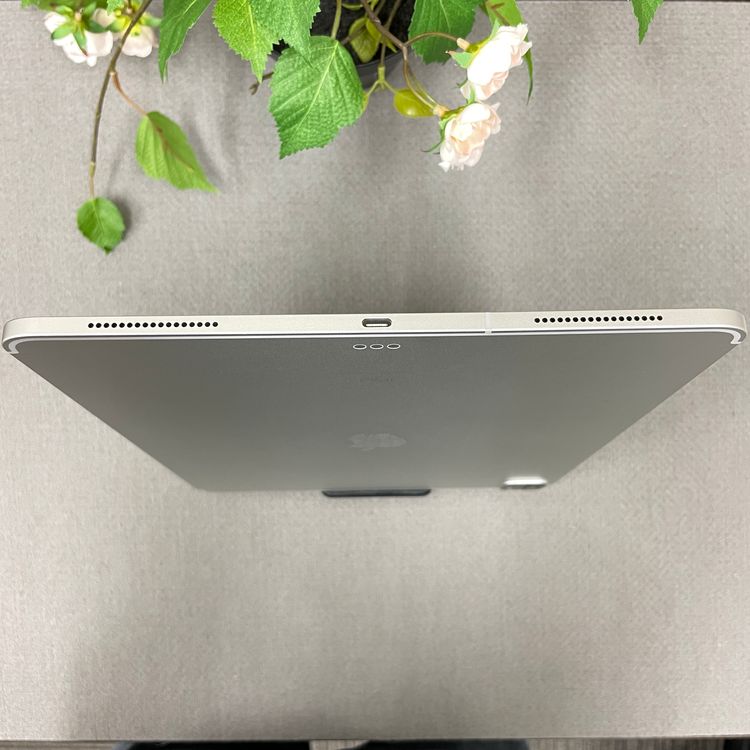 iPad Pro 12.9���������4�����128GB Wi-Fi + Cellular��ǥ�