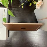 iPad mini 5   64Gb Wi-Fi + Cellularǥ ̵