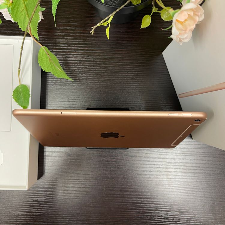 iPad mini 5   64Gb Wi-Fi + Cellularǥ ̵