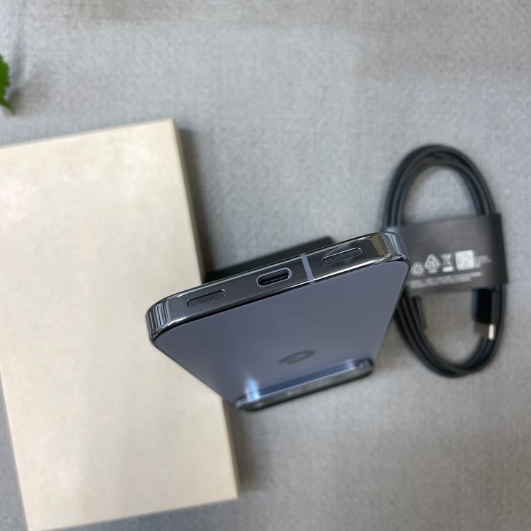 Google Pixel 10 Pro 256GB Moonstone ����SIM�ե꡼ ����̵��