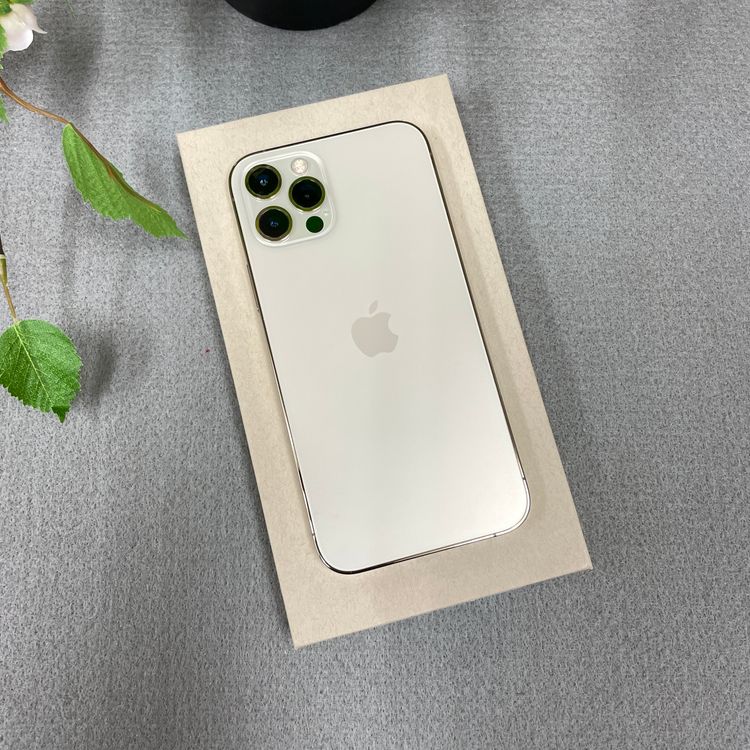 iPhone 12Pro ������� 256GB ����SIM�ե꡼ ����̵��