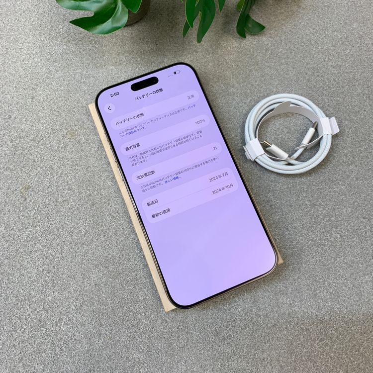 �Хåƥ꡼ 100%iPhone 16ProMax 256GB �ǥ����ȹ����� SIM�ե꡼����̵��