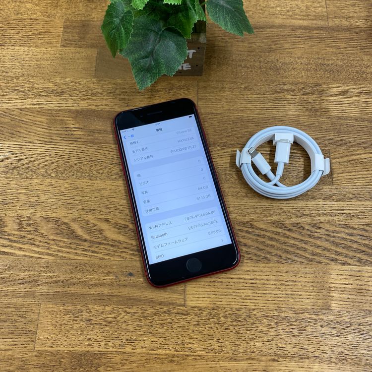 �Хåƥ꡼ 98% iPhone SE(��2 ����) 64GB  ����SIM�ե꡼ ����̵��