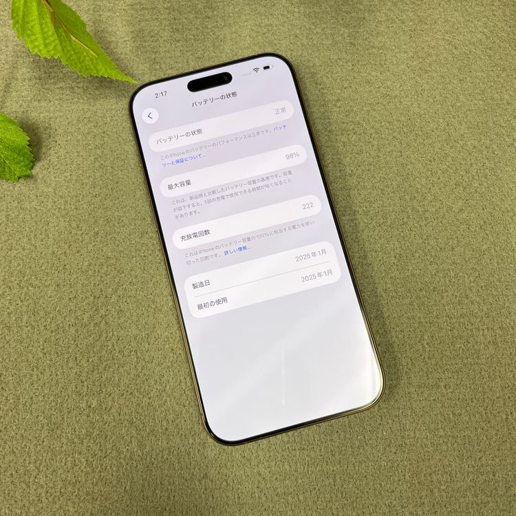 iPhone 16ProMax 256GB �ǥ����� ������ SIM�ե꡼ ����̵��