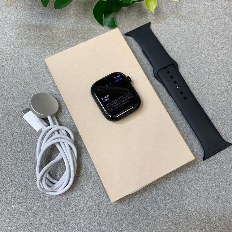 �Хåƥ꡼ 100% Apple Watch 11 46mm GPS ����̵��