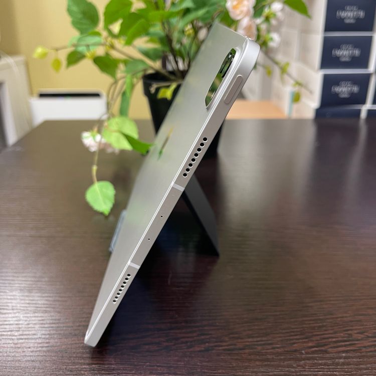 iPad Pro 113128GB  Wi-Fi + Cellularǥ