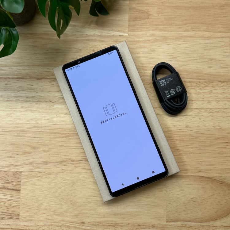 Sony Xperia 1 V SO-51D 256GB �֥�å� ������ SIM�ե꡼����̵��