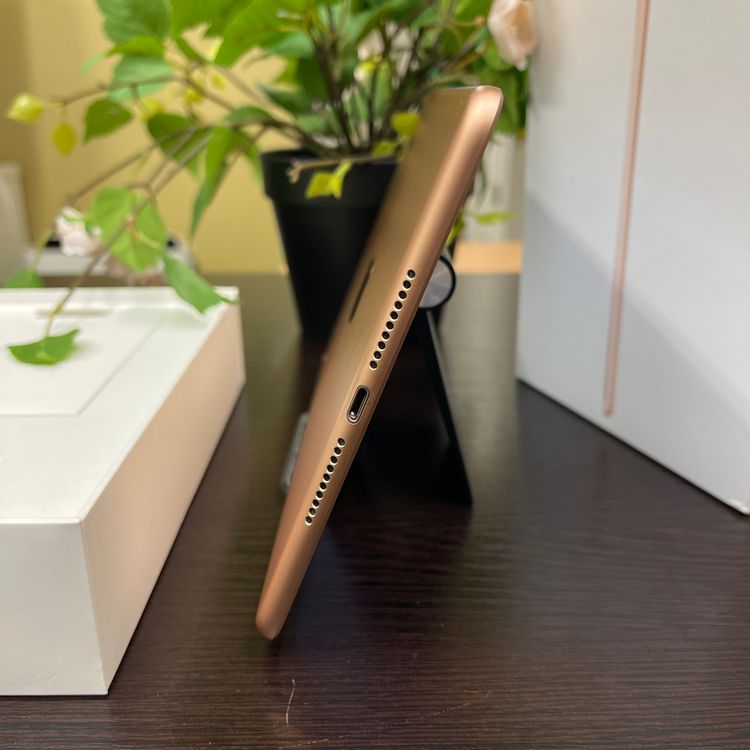 iPad mini 5   64Gb Wi-Fi + Cellularǥ ̵