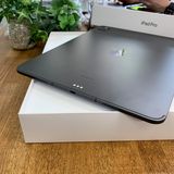 ����Ʊ�� iPad Pro M4 13����� 256GB WiFi + Cellular ����̵��