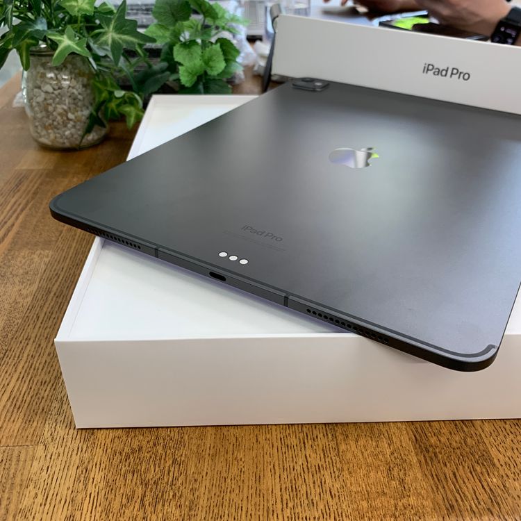 ����Ʊ�� iPad Pro M4 13����� 256GB WiFi + Cellular ����̵��