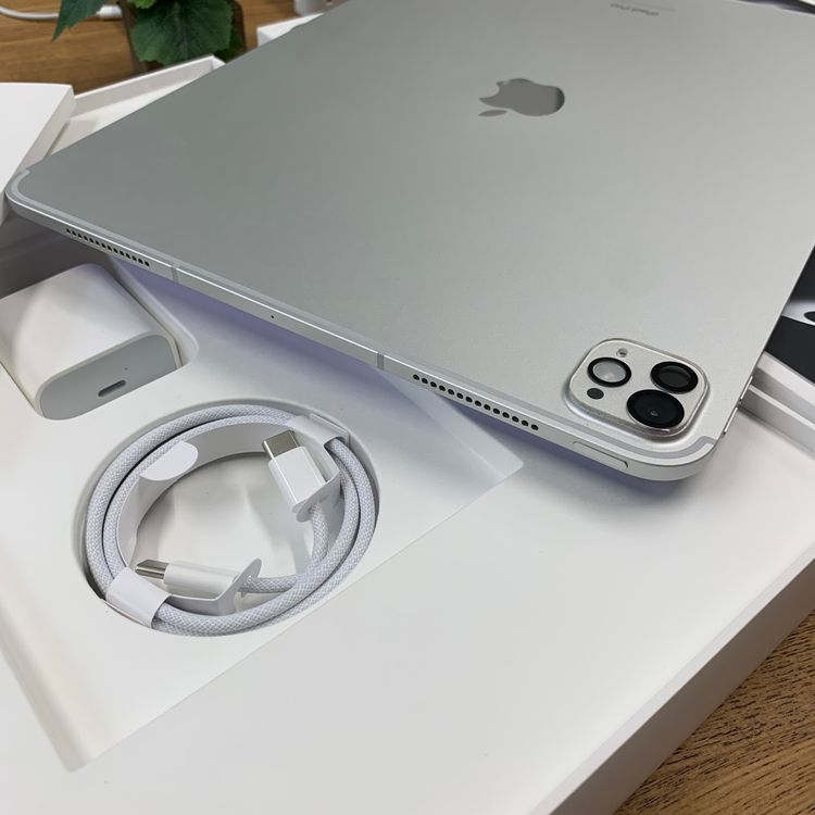 ����Ʊ�� iPad Pro M4 13����� 2TB WiFi + Cellular ����̵��