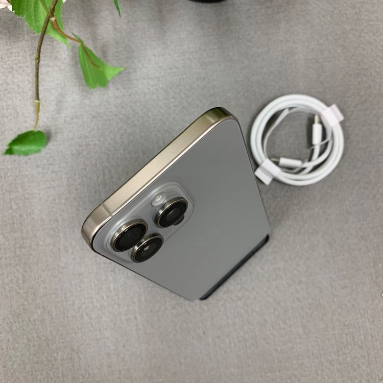 �Хåƥ꡼ 100% iPhone 15ProMax 1TB �ʥ����롡������SIM�ե꡼����̵��