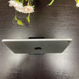 iPad mini 4 128GB С Wi-Fi ǥ ̵