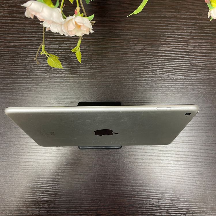 iPad mini 4 128GB С Wi-Fi ǥ ̵