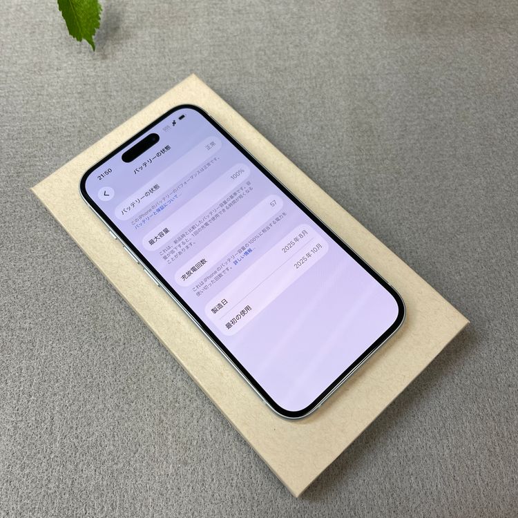 �Хåƥ꡼ 100% iPhone 15 128GB �֥롼������ SIM�ե꡼����̵��