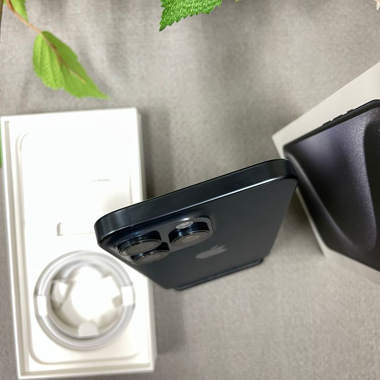 iPhone15ProMax 256Gb ֥롼 SIMե꡼̵