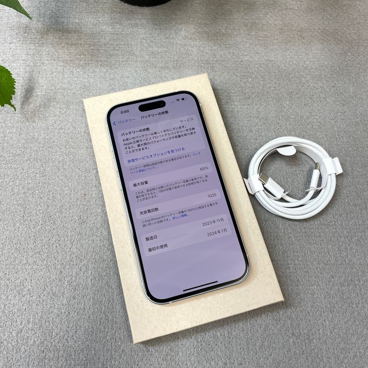 iPhone 15 512GB �֥롼 ������ SIM�ե꡼����̵��