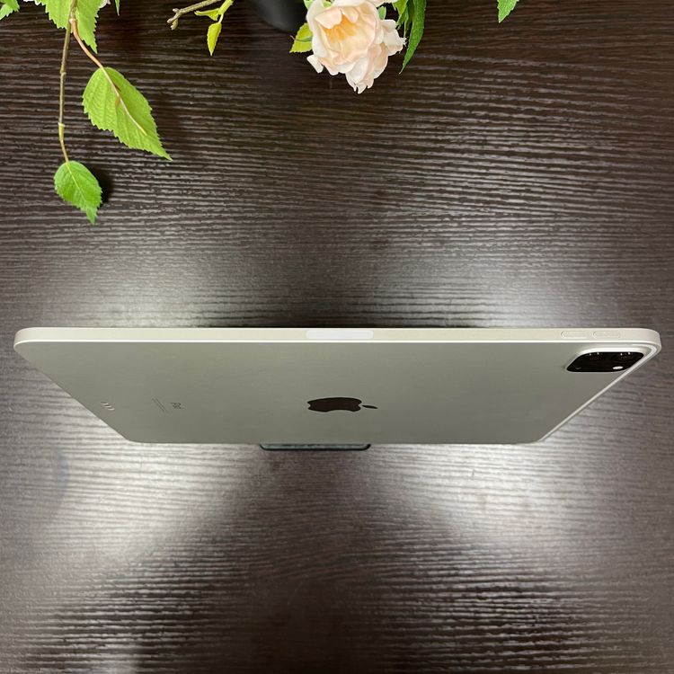 iPad Pro 112 256GB Wi-Fiǥ