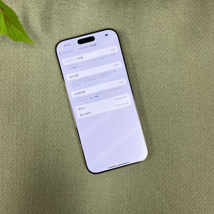 iPhone16ProMax 1TB ǥȹSIMե꡼̵