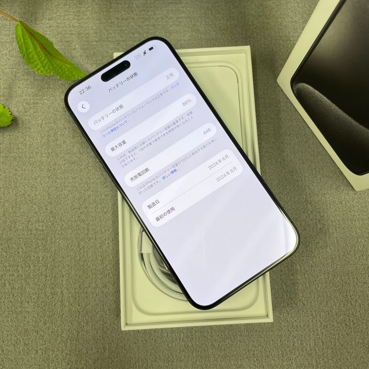 iPhone 15ProMax 256GB �֥�å� ������ SIM�ե꡼ ����̵��