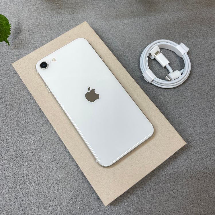 �Хåƥ꡼94% iPhone SE�裳���� 128GB �������饤�� ������SIM�ե꡼����̵��