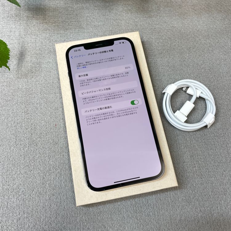 iPhone12 Pro Max 256Gb �ѥ��ե��å��֥롼 ����SIM�ե꡼ ����̵��