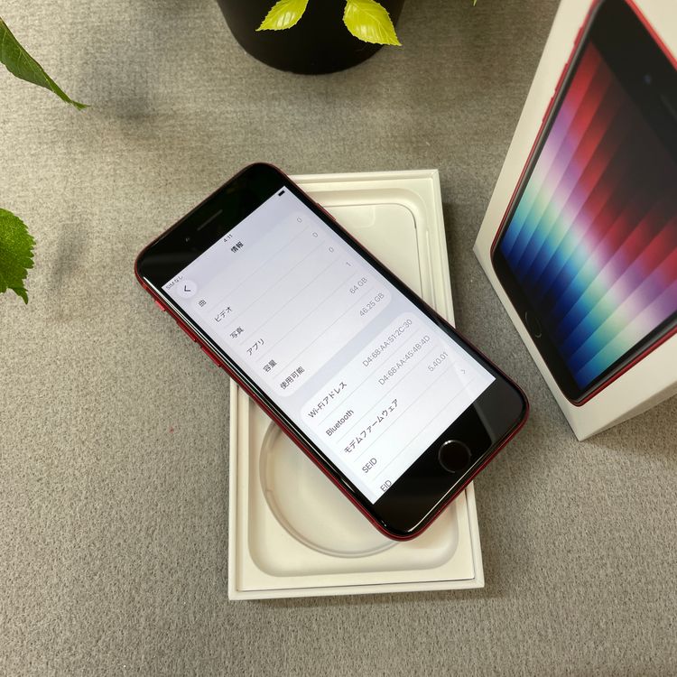 iPhone SE(�裳����) 64GB ��å� ����SIM�ե꡼ ����̵��